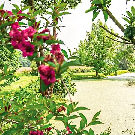 Les Jardins De Deauville Saint-Martin-aux-Chartrains