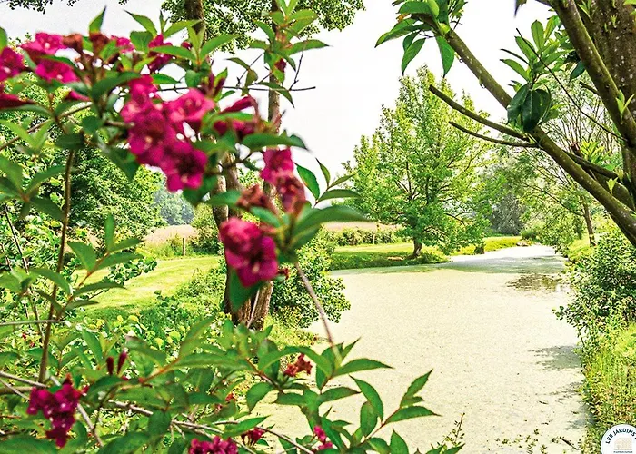 Les Jardins De Deauville Saint-Martin-aux-Chartrains