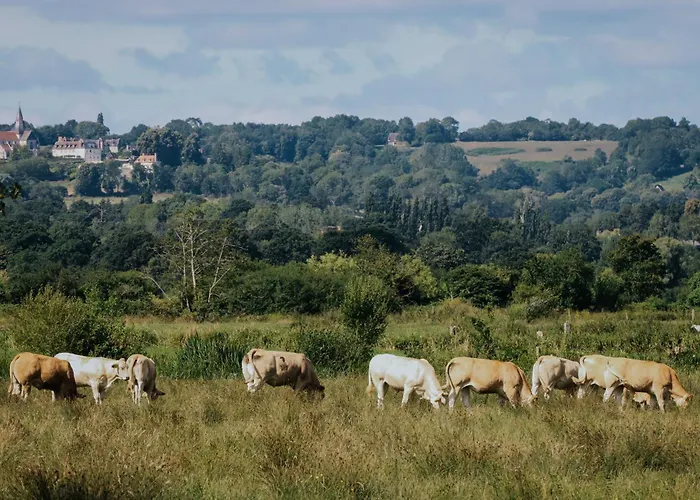 Les Jardins De Deauville 호텔