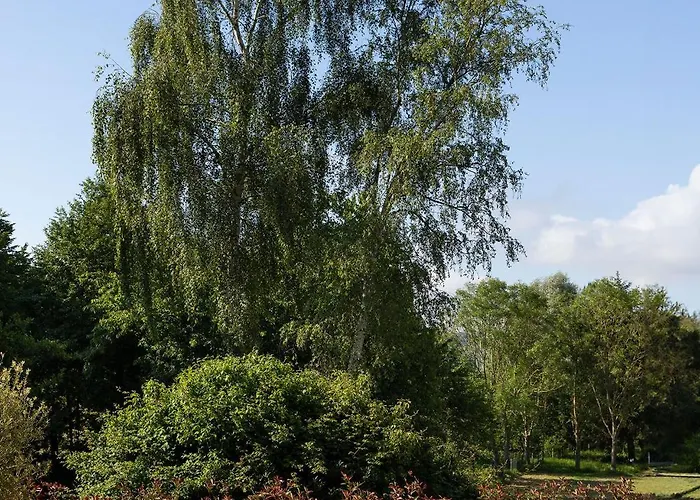 호텔 Les Jardins De Deauville