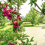 Les Jardins De Deauville Saint-Martin-Aux-Chartrains