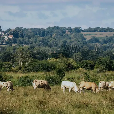 Les Jardins De Deauville 호텔