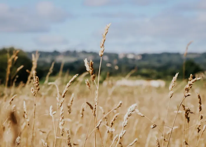 Les Jardins De Deauville 4*